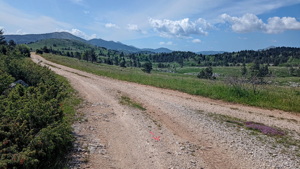 Modern all-road cycling
